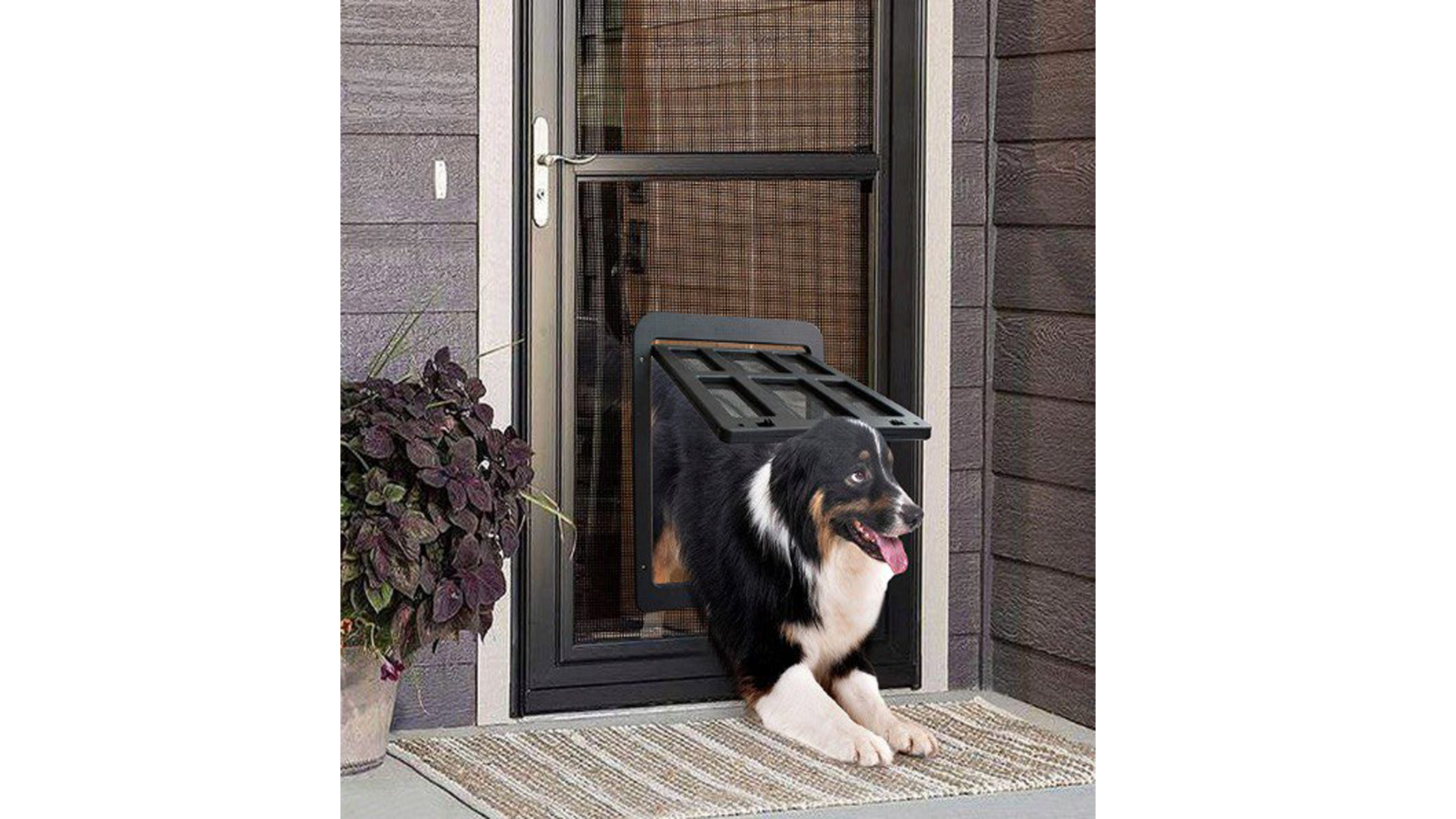 Pets Screen Doors